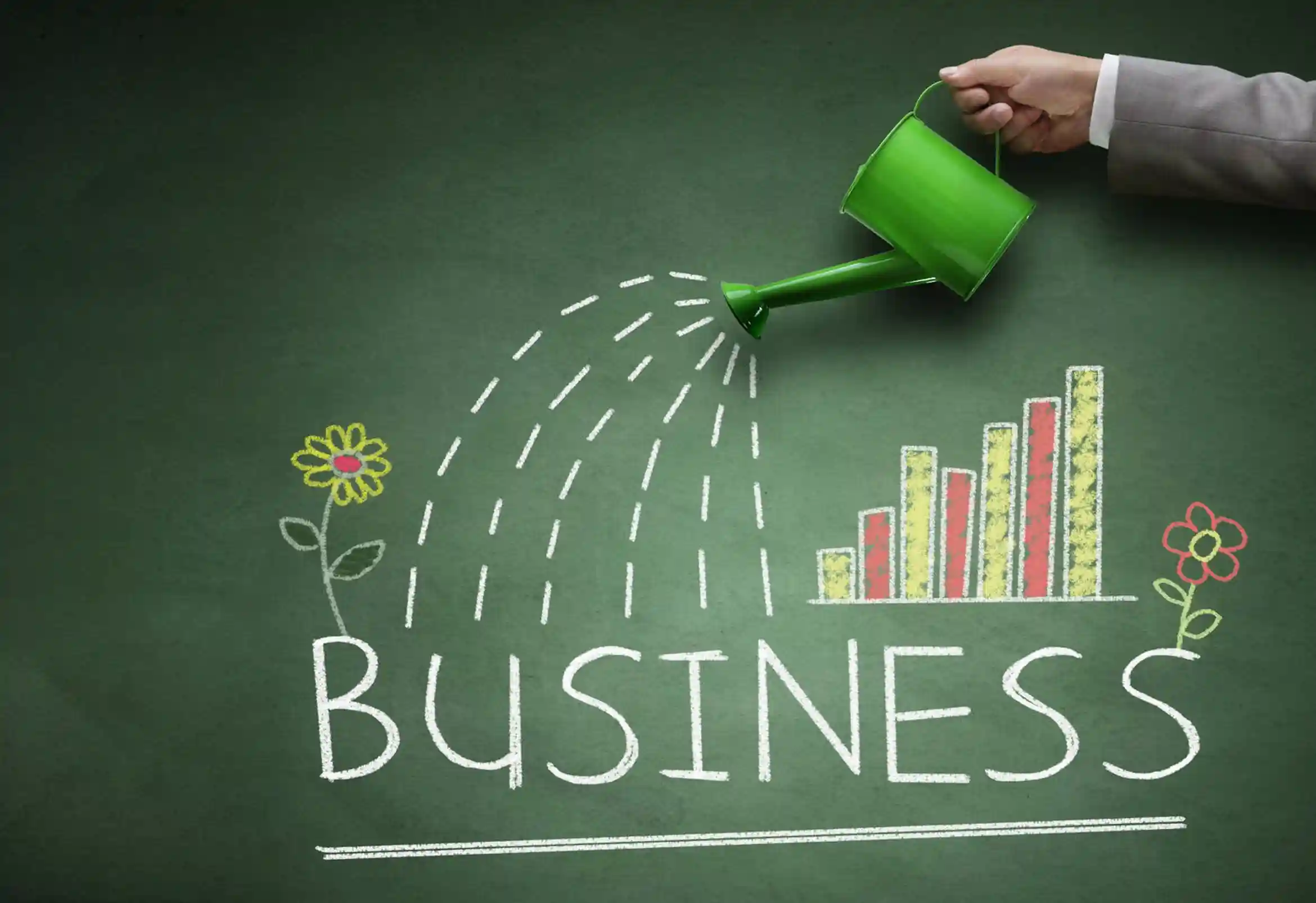 small business growth through digital marketing